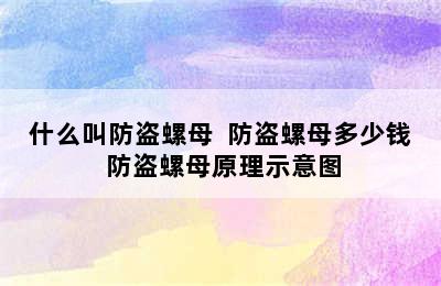 什么叫防盗螺母  防盗螺母多少钱 防盗螺母原理示意图